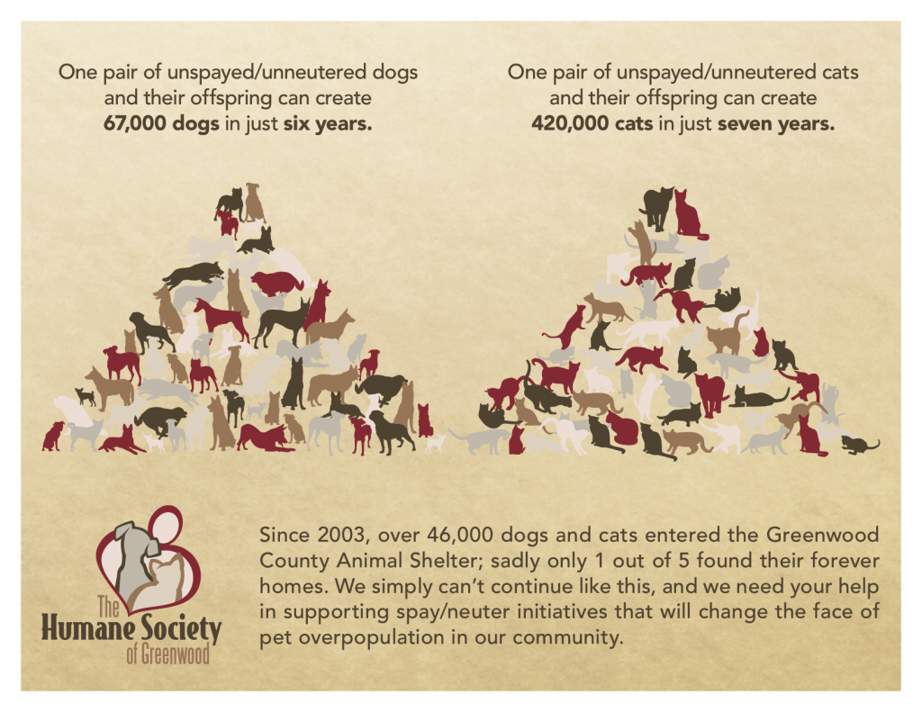 Why Spay & Neuter? The Humane Society of Greenwood
