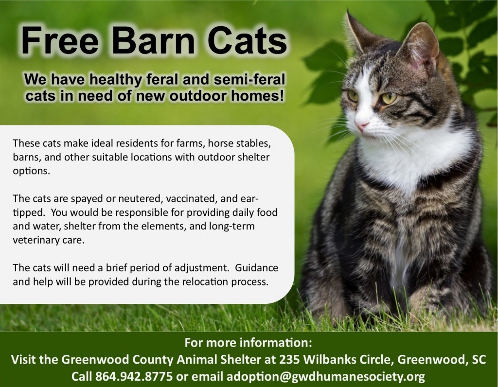 Barn Cat Program The Humane Society of Greenwood