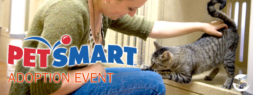 Adoptable Dogs and Cats at Petsmart Saturday, December 12, 11a to 3p
