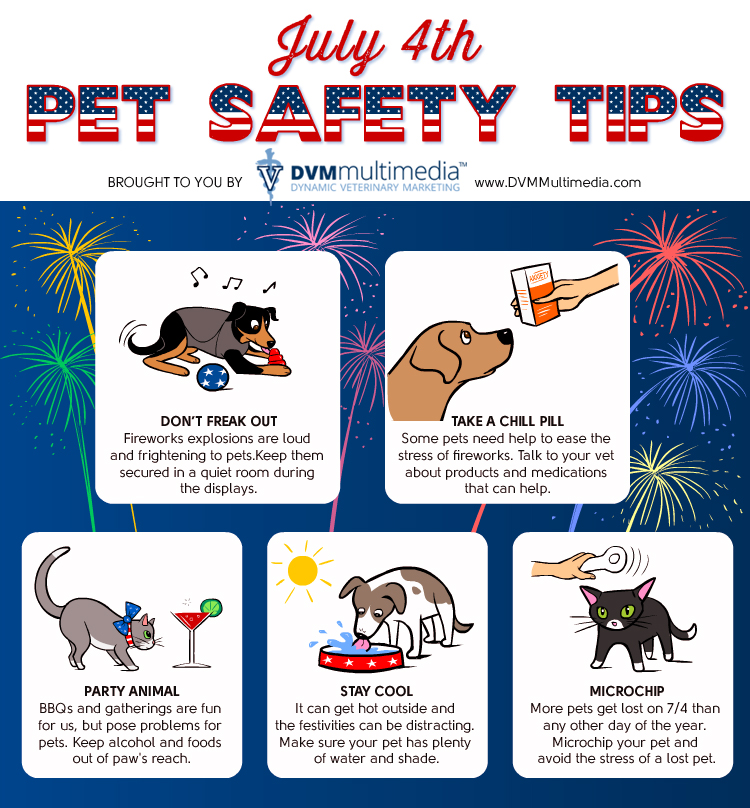 How To Protect Your Pet And Keep Them Happy
