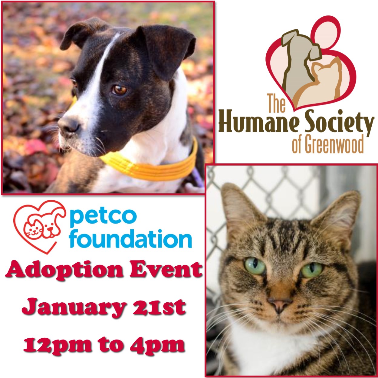 Rescheduled Petco Adoption Event Saturday January 21st From 12pm