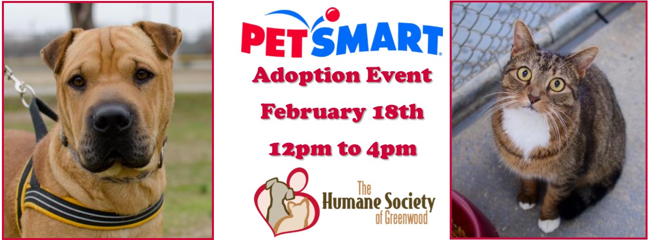 Petsmart Adoption Events Near Me The W Guide