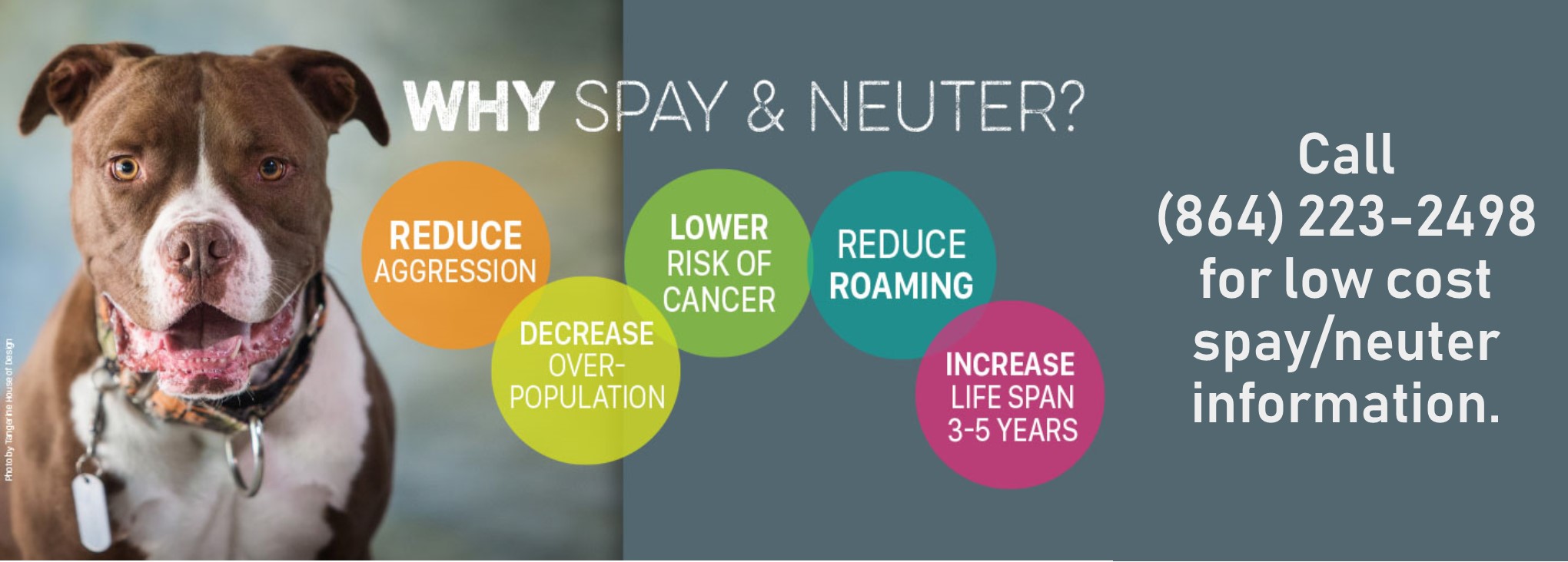 The Humane Society of Greenwood The Humane Society of Greenwood