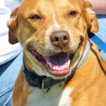 Liberty A16368700 062812 (798x1024)