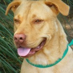 BroadwayB A16504432 090612 (659x800)