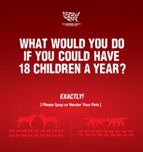 HSUS_Poster_18Kids_LA_SHRV_12_4