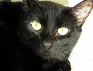 Soot