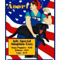 July 2013 Adoption Specials