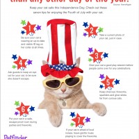 july-4-cat