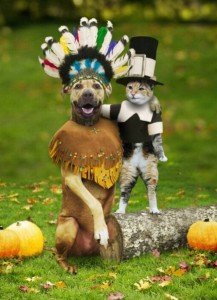 Thanksgiving - Dog and Cat - Use