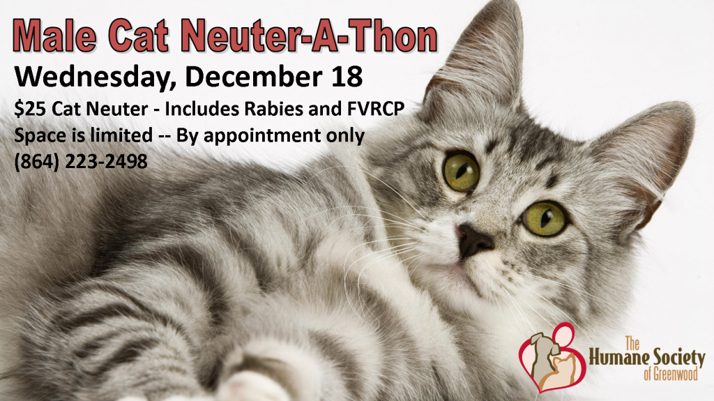 12/18/13 Neuterathon