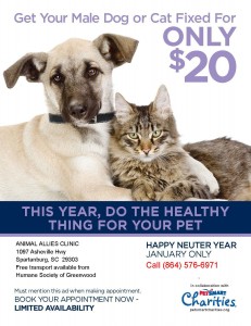 Happy-Neuter-Year-Flyer AA