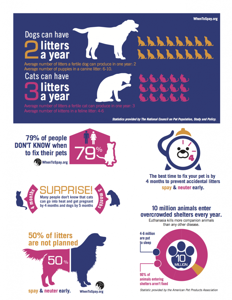 February Is Spay Neuter Awareness Month The Humane Society Of Greenwood February Is Spay Neuter Awareness Month The Humane Society Of Greenwood
