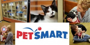 Petsmart Banner