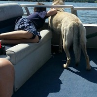 Adam Hicks and Bailey Kimmons