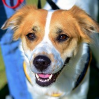 Coco Chanel A25029927 031615 (1024x762)