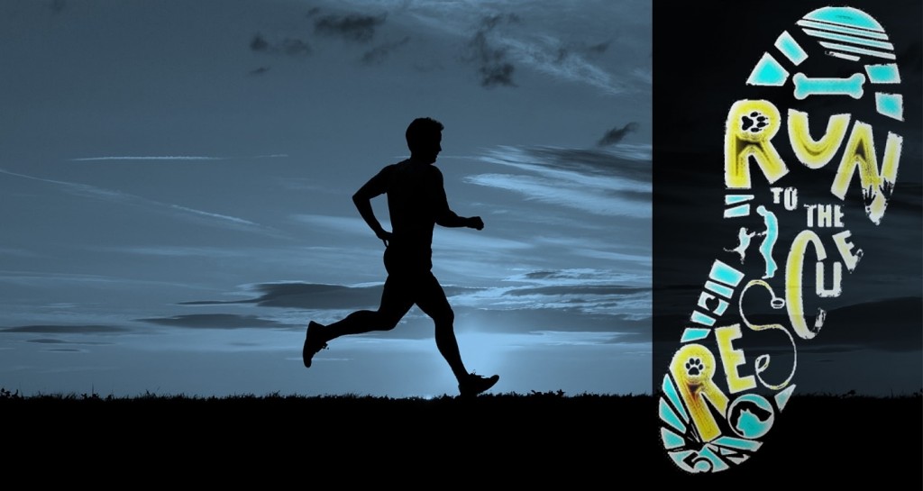 Run To The Rescue banner
