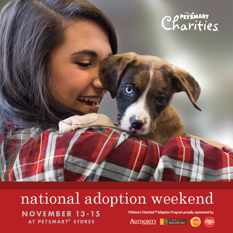 15-CHARITIES_Nov_AWO_800x800_US
