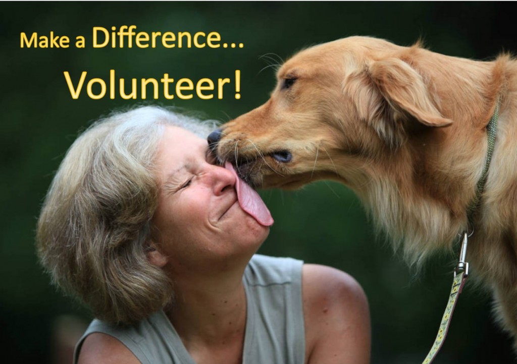 VolunteerDogKissingWoman