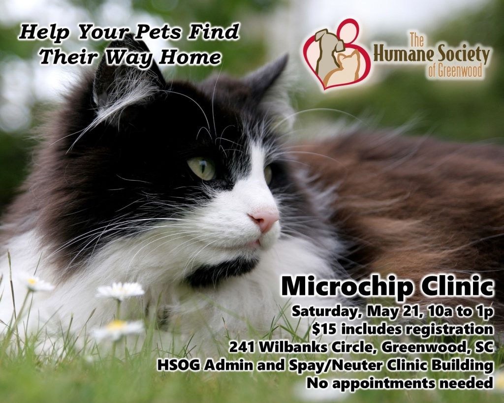 MC Flyer 052116