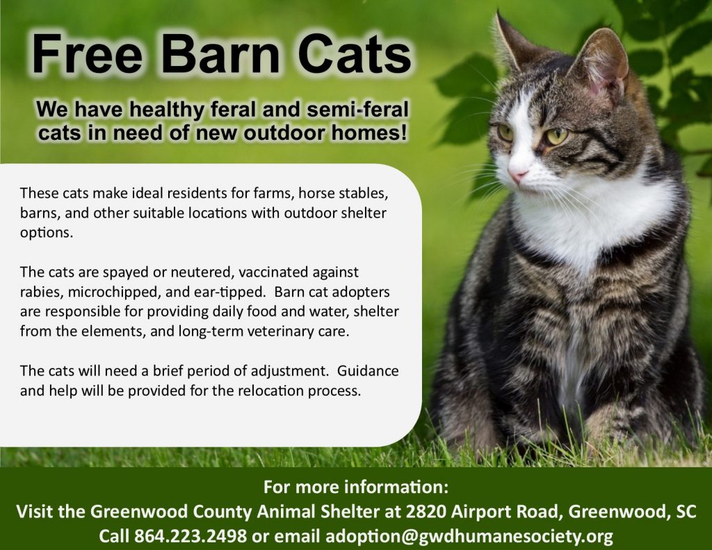 Barn Cat Program The Humane Society Of Greenwood