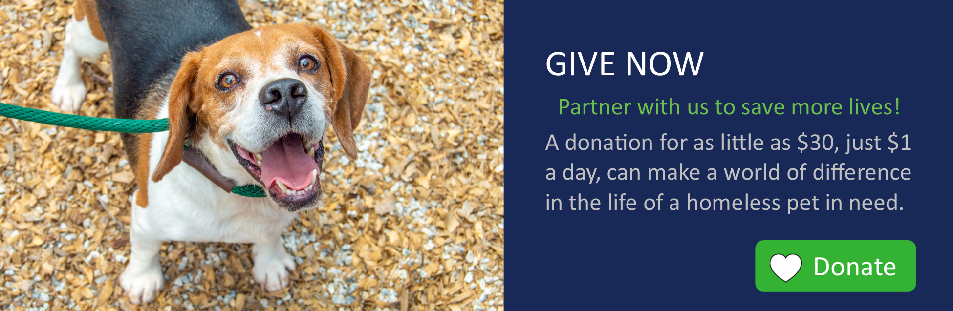 dog donation website